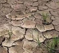 土壤墑情監(jiān)測儀如何進行安裝