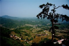 土壤水分速測儀在連翹種植中效果如何？