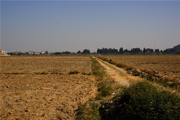 土壤養(yǎng)分速測儀保障我國耕地質(zhì)量 土壤養(yǎng)分速測儀保障我國耕地質(zhì)量