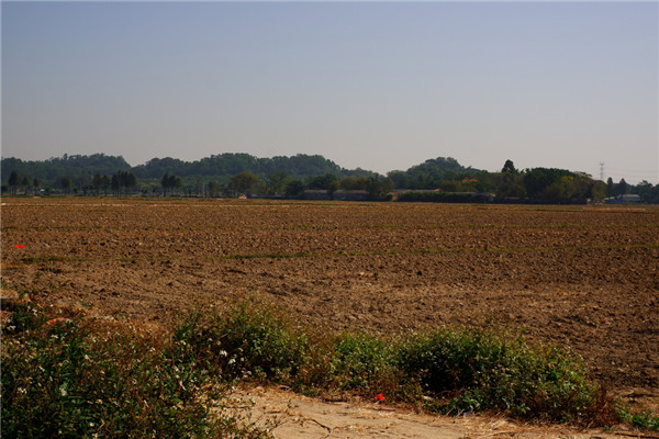 土壤水含量的變化對(duì)植物有哪些影響？
