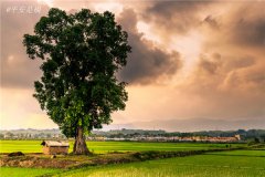 土壤水分速測儀主要有哪些優(yōu)點？