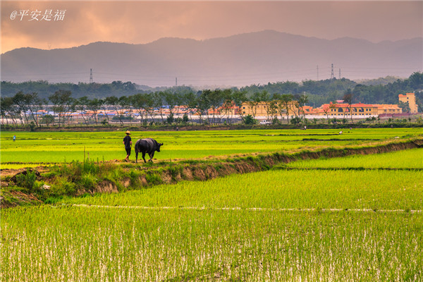 土壤養(yǎng)分速測(cè)儀實(shí)現(xiàn)用地與養(yǎng)地相結(jié)合 土壤養(yǎng)分速測(cè)儀實(shí)現(xiàn)用地與養(yǎng)地相結(jié)合