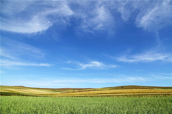 1564647437117502.jpg 20190801_140232_039.jpg