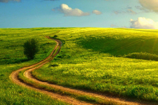 土壤墑情監(jiān)測系統(tǒng)