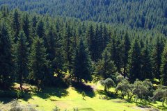 農(nóng)業(yè)灌溉土壤墑情檢測儀