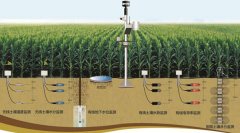 土壤墑情怎么讀，在實(shí)際農(nóng)業(yè)中應(yīng)用怎樣？