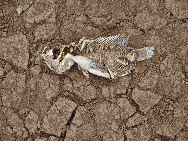 安裝土壤墑情自動(dòng)監(jiān)測系統(tǒng)的意義在哪里？