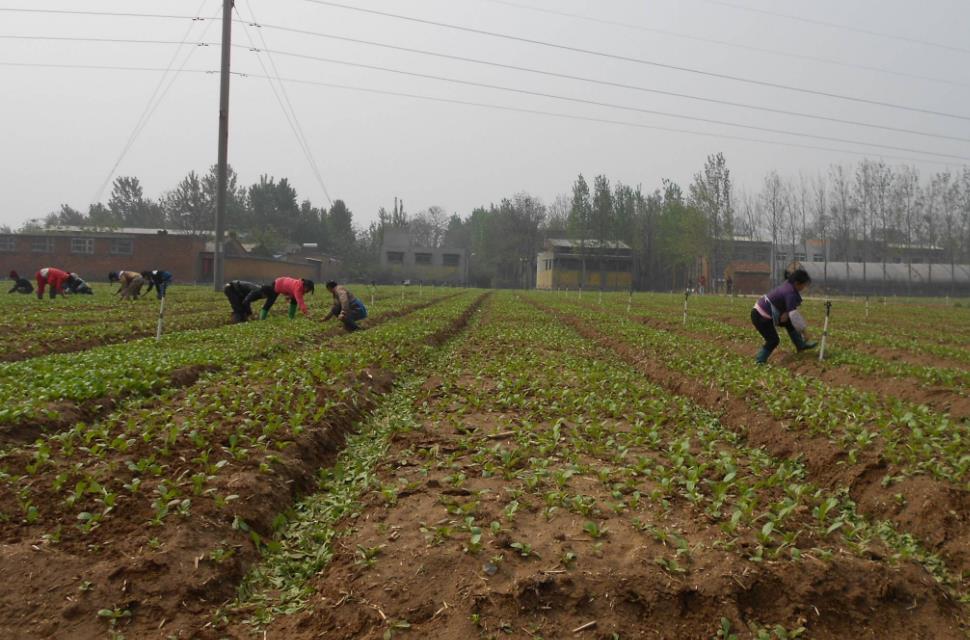 土壤含水量是如何計(jì)算的？