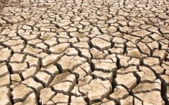 土鑲摘情監(jiān)測預報在農(nóng)業(yè)抗旱減災中的作用