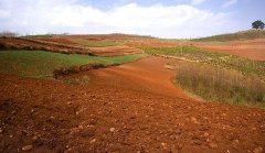 取樣方式不同對土壤墑情監(jiān)測精度有影響嗎？