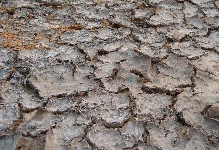 土壤墑情監(jiān)測(cè)系統(tǒng)在物聯(lián)網(wǎng)浪潮下的升級(jí)換代 土壤墑情監(jiān)測(cè)系統(tǒng)在物聯(lián)網(wǎng)浪潮下的升級(jí)換代