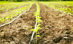 為什么要開展土壤墑情監(jiān)測工作?