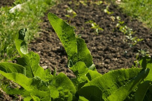 國(guó)內(nèi)外墑情監(jiān)測(cè)方法